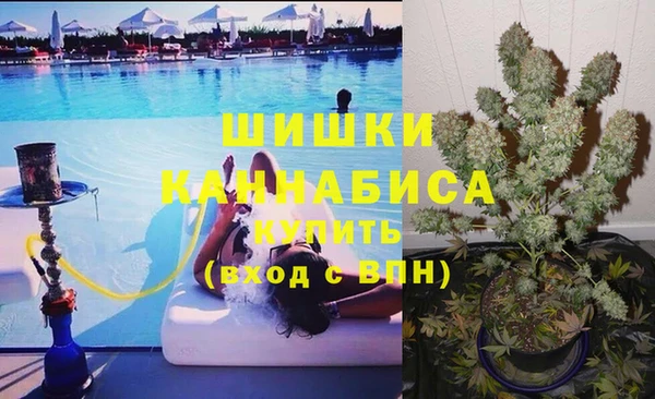 стафф Аркадак