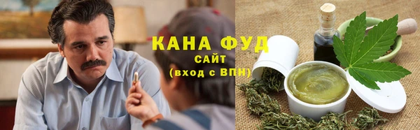 крисы Магас